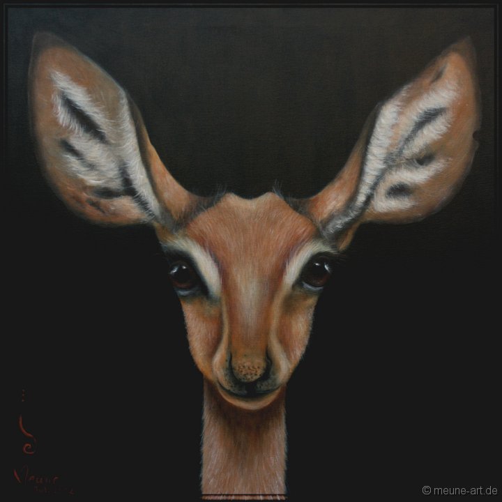 Beira Antilope Acryl auf Leinwand;
77 x 77 cm
